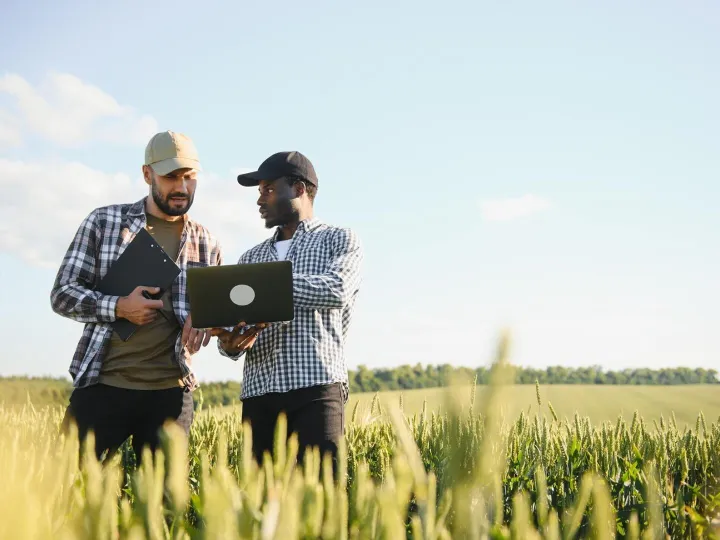 Two multiracial farmer standing in a wheat field with laptop