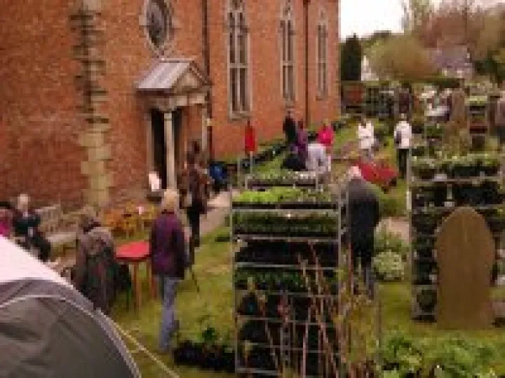 2015 Plant sale