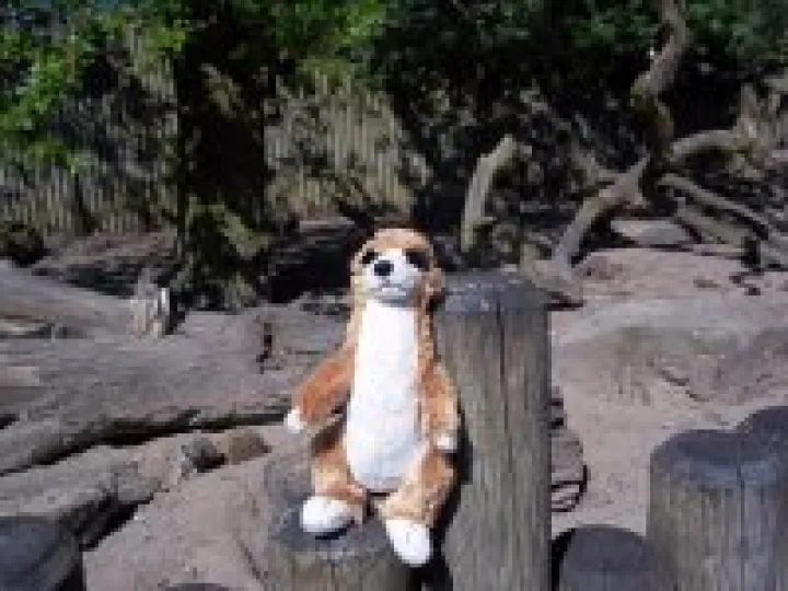 Sunny meets his family