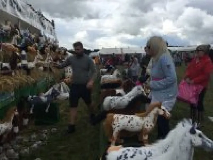 Nantwich Show 2015