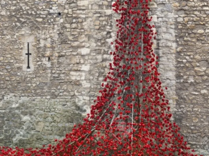 Poppies at the Tower of London