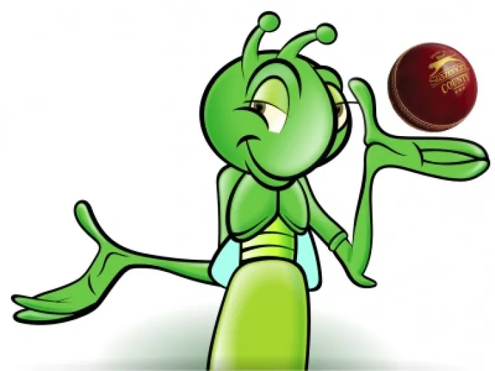 Cricket Cartoon 01
