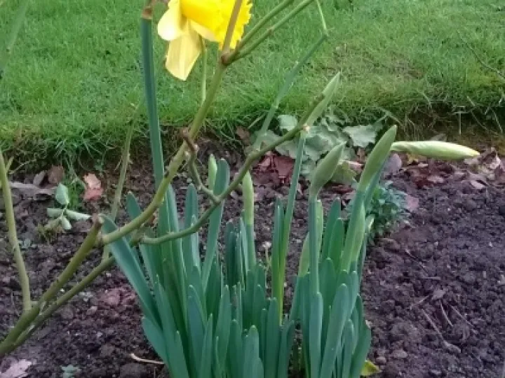 Spring has Sprung on 20 December