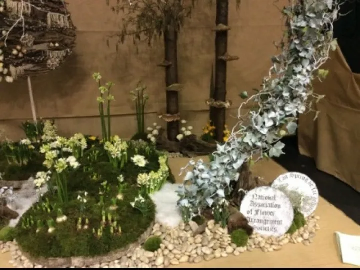 Display 3