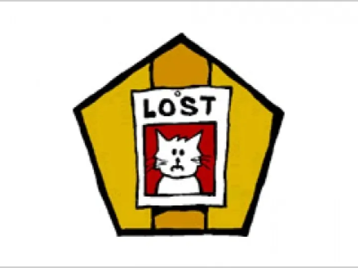 lost-cat