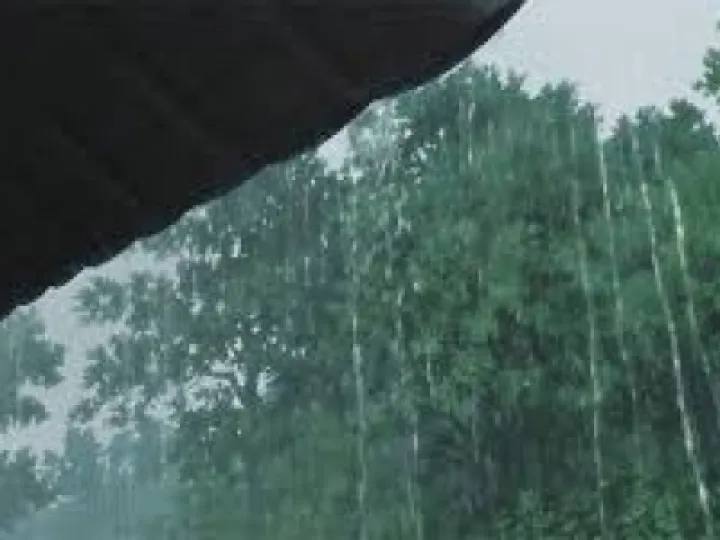 rain image jpg