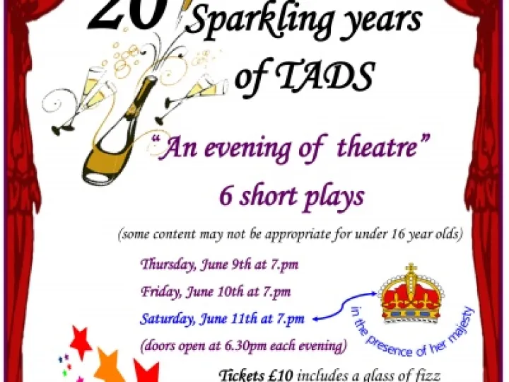 TADSSummer2016poster