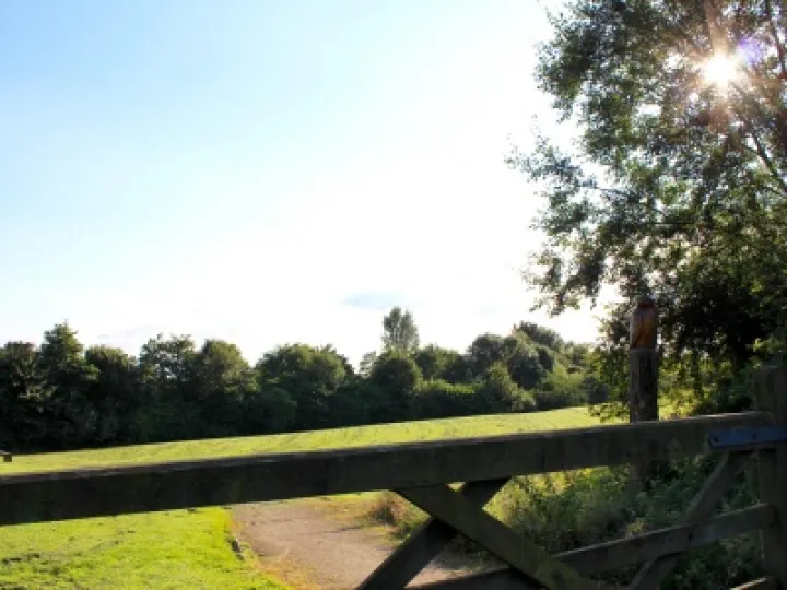 Last Import – 20 of 20