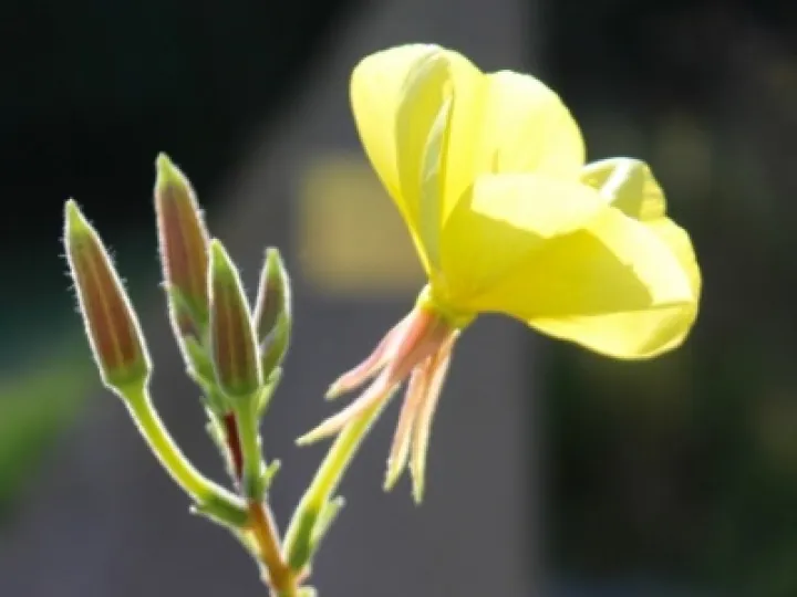 Last Import   12 of 20