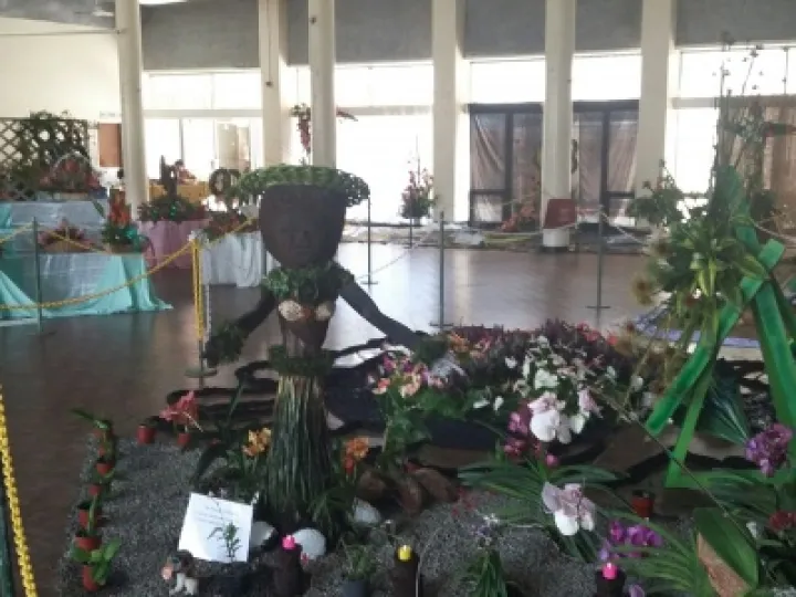 Suva Flowers1