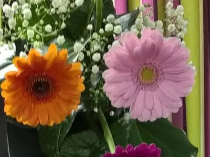 Flower Club Jan 20Wp_20170111_21_35_55_pro  2  (1)