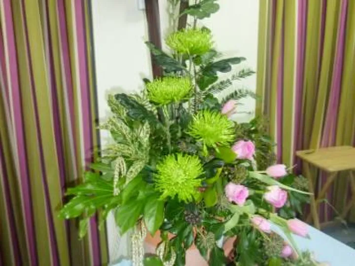 Flower Club Feb 2017 (5)