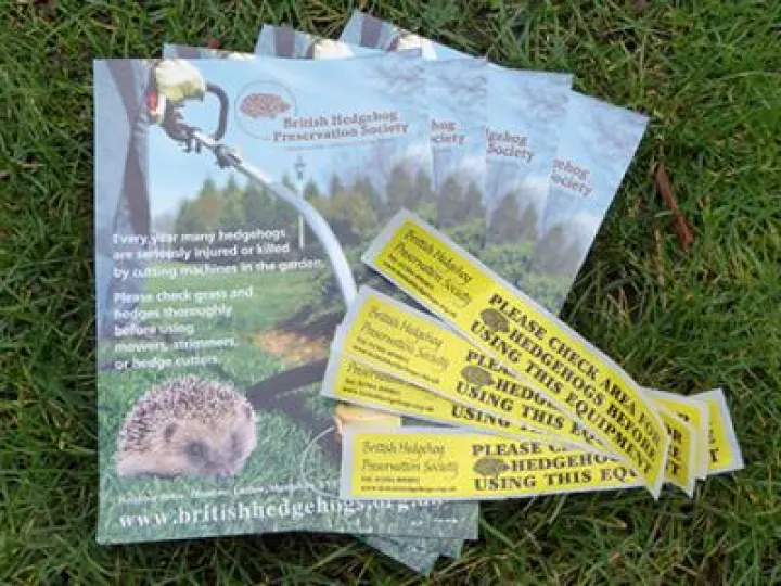 Hedgehog_initiative_flyers
