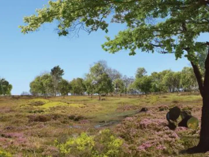 Bickerton Hill  &ndash; after restoration