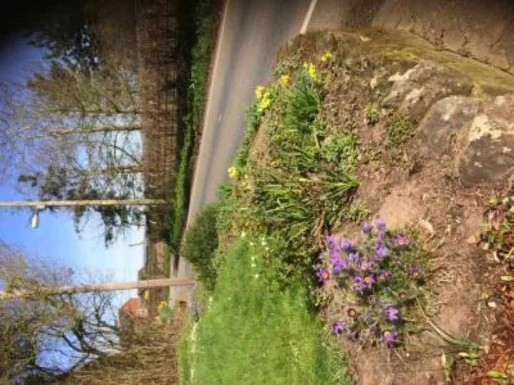 Photo Barrow Lane- (1)JPG