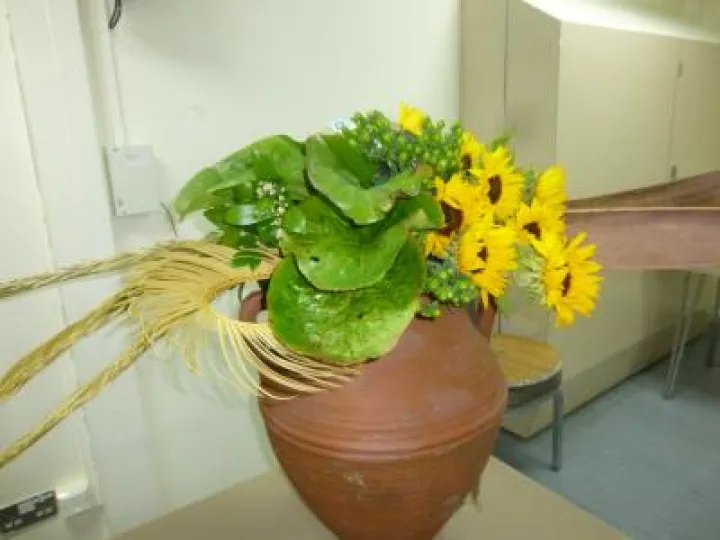 flower Club April 2017 P1030228