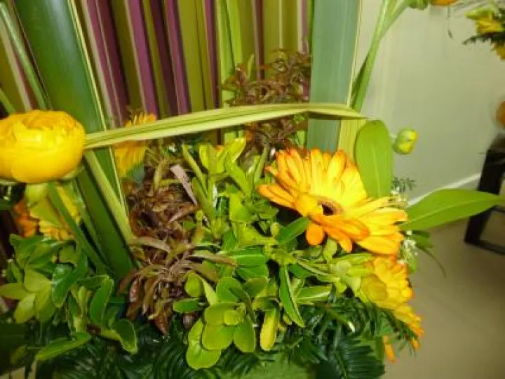 Flower Club April 2017 P1030230