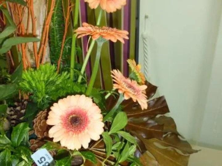 Flower Club April 2017 P1030231