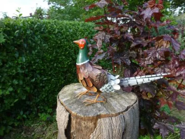 Flower Club June 2017 P1030281