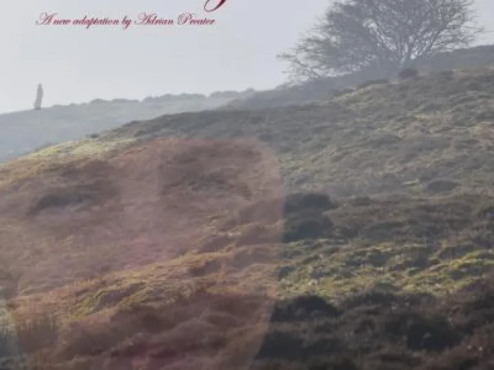 Wuthering Heights (1)