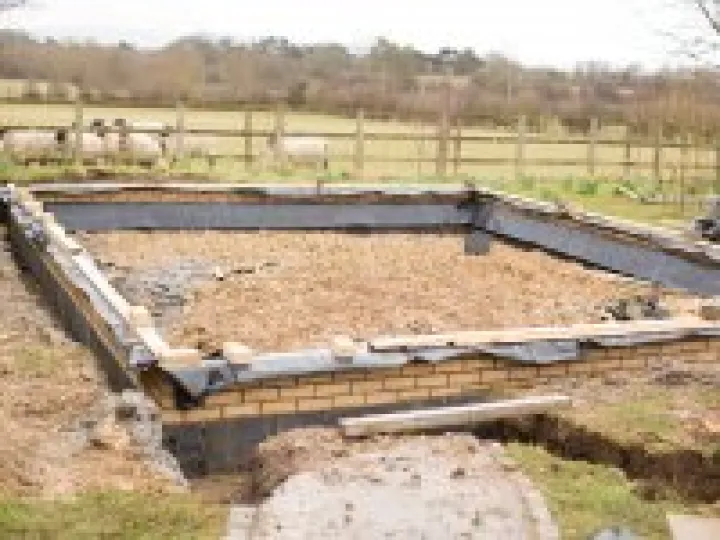 Wooly Building Inspectors