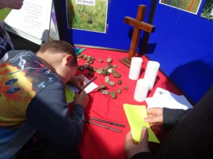 Jenny's Field 2017 (4)