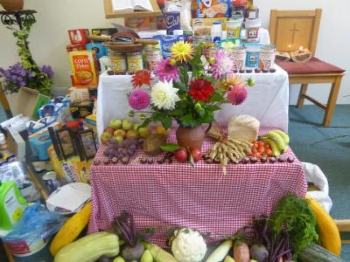 22096268_709535362579378_2868552143419521429_o