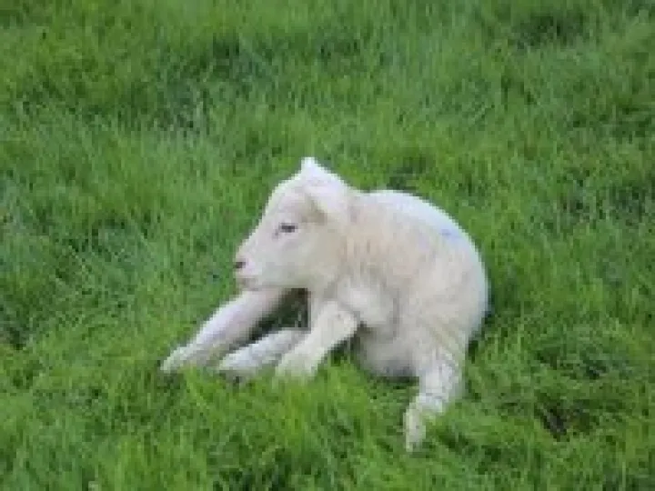 New Life at Minster Abbey