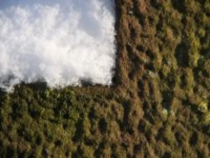 Snow and sandstone
