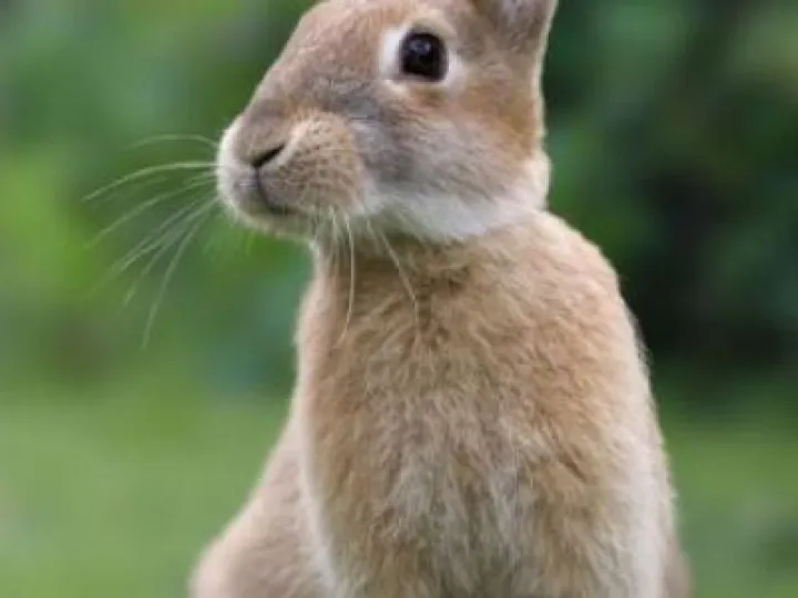 134675744-352-k402388