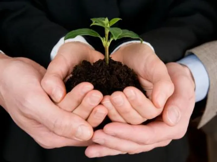 Messy_growth Feb2018