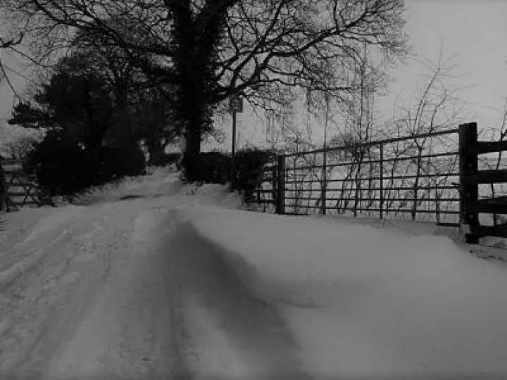 Andertons Lane4 (003)