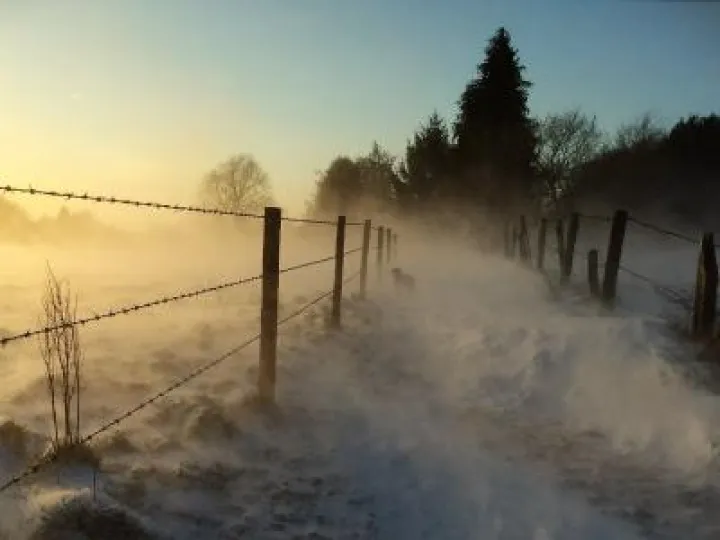 BeastfromtheEast_2_1