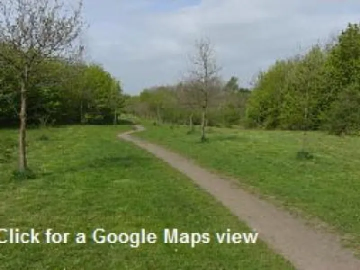 Tarvin Community Woodland Trust CIMG1090