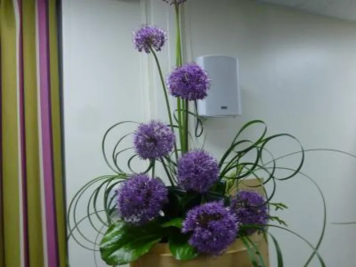 Flower Club May 2018 P1030513