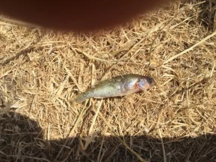 0CC90A8A-2F32-46CC-AE85-20AFC093F72B