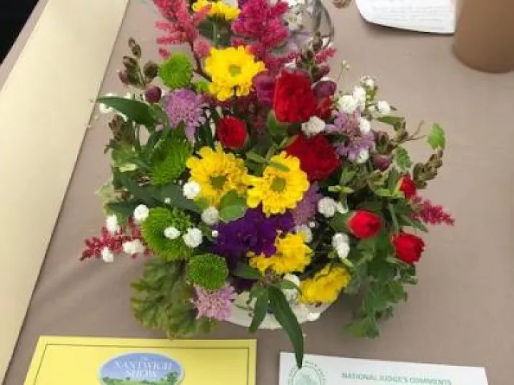 Bright and Beautiful