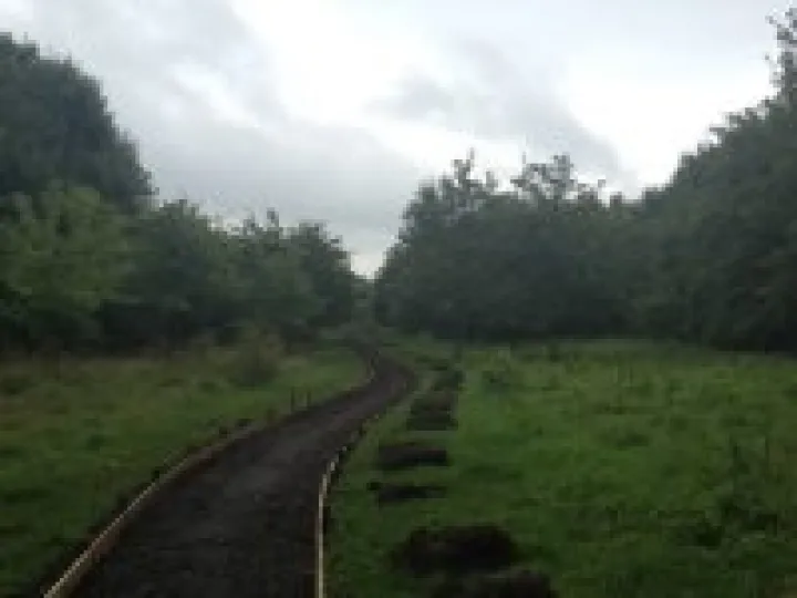 Community Woodland