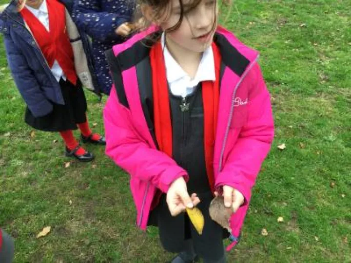 F2F6EF66-C740-4ACC-9EB2-FB4EF2D64643