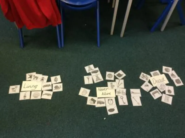 7BCABF96-5D53-4164-BADF-B3329939EE60