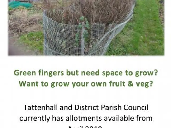 Parish Council Allotments Available