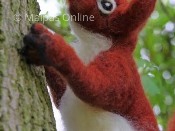 mill squirrel small 1 (1)