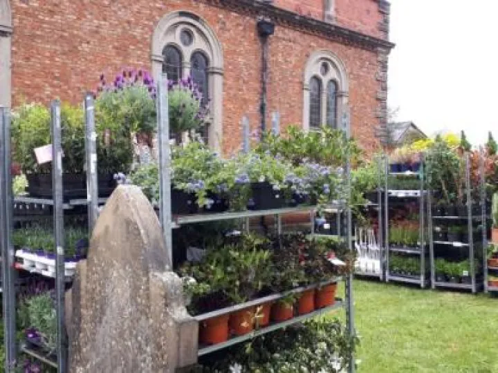 plantsale20190503_173250