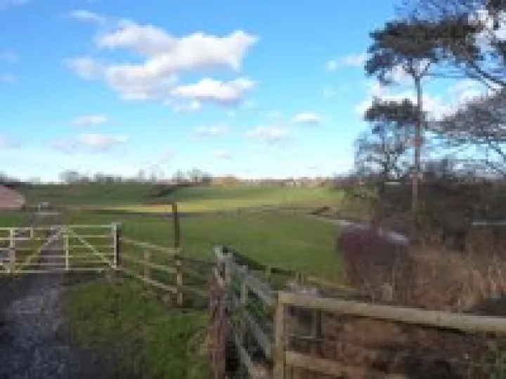 Canal walk January 2013 (16)