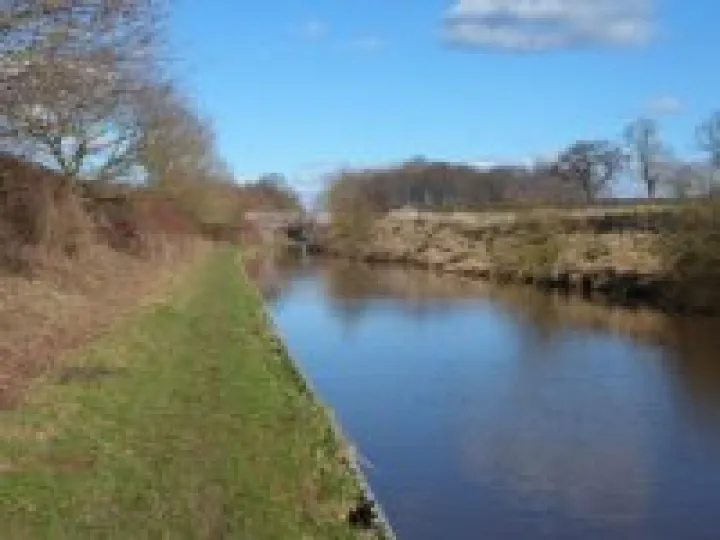 Canal walk January 2013 (19)