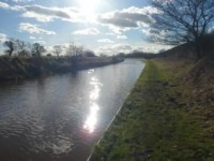 Canal walk January 2013 (18)