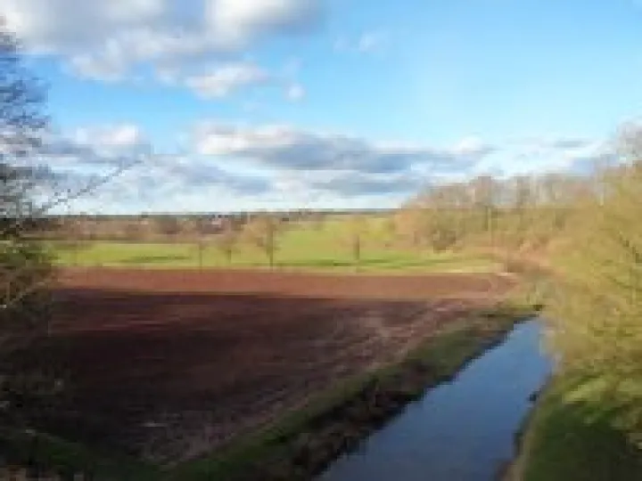 Canal walk January 2013 (15)