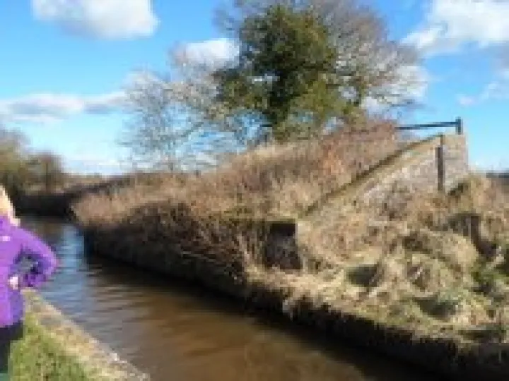 Canal walk January 2013 (21)