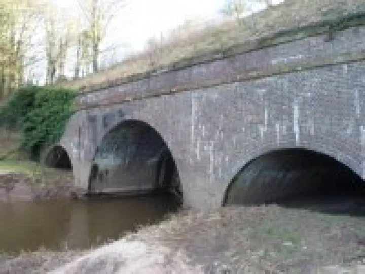 Canal walk January 2013 (13)