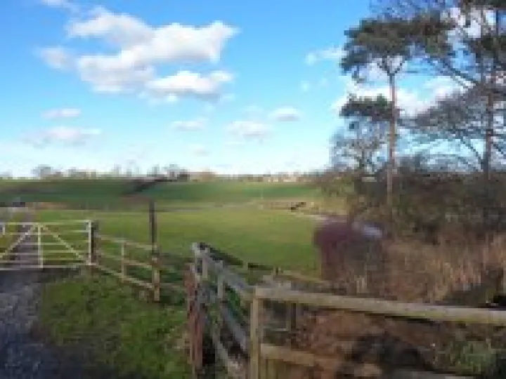 Canal walk January 2013 (17)